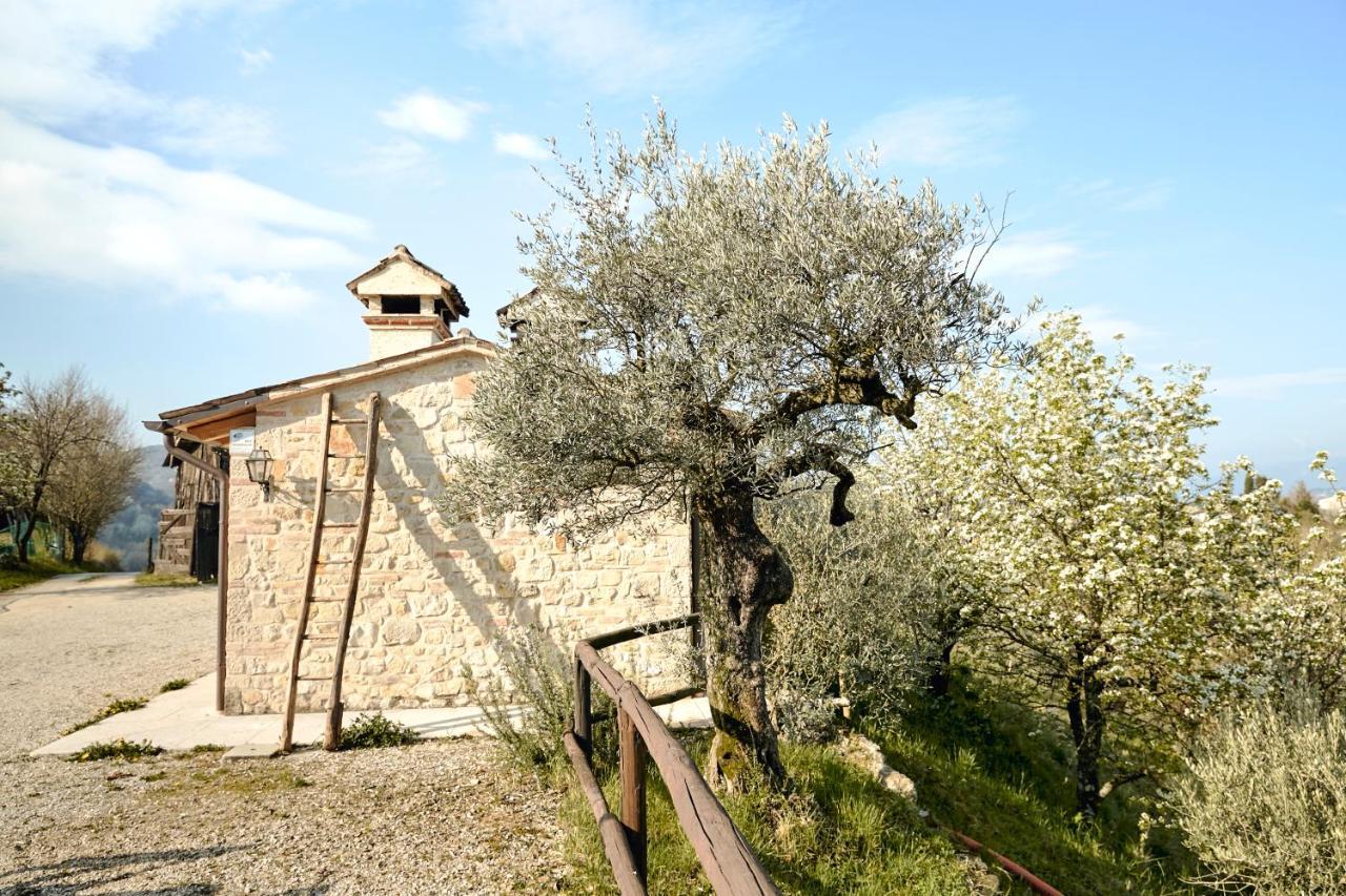 Asolo Norah'S Hill Agri Rooms Monfumo Eksteriør billede